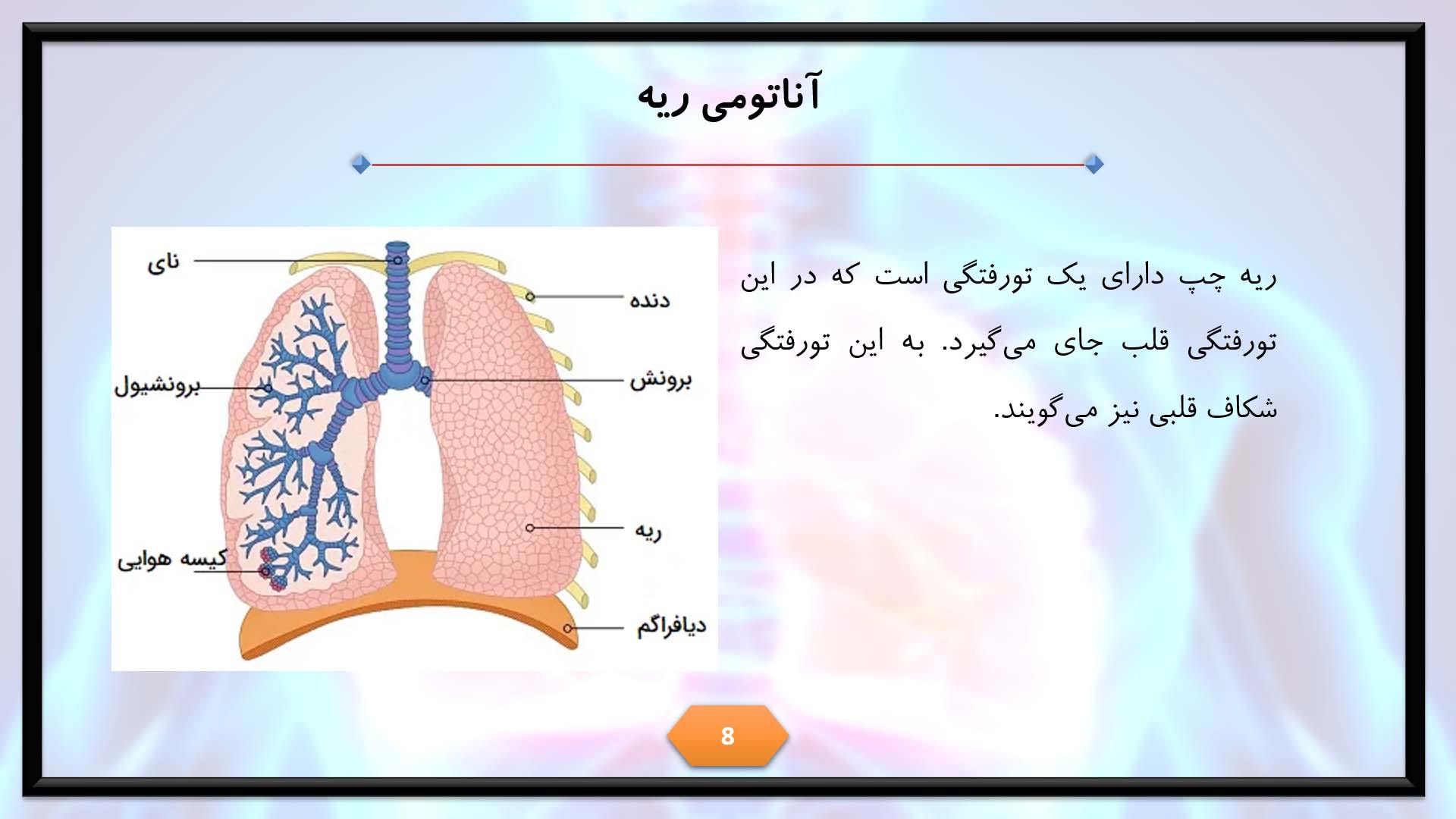 پاورپوینت در مورد ریه و سیستم تنفسی 